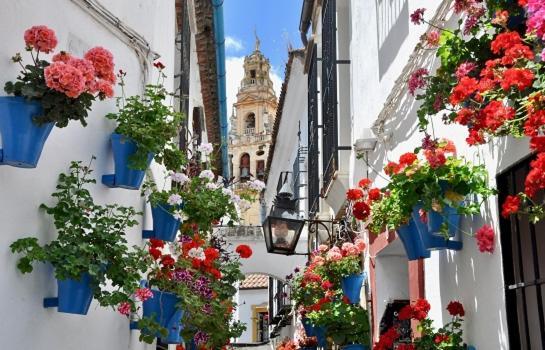 El Patio De Cruz Conde Daire Cordoba Dış mekan fotoğraf